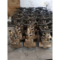 Aluminum bronze gate  valves