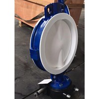 Fully Lined Butterfly Valve